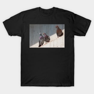 Standing On One Leg T-Shirt